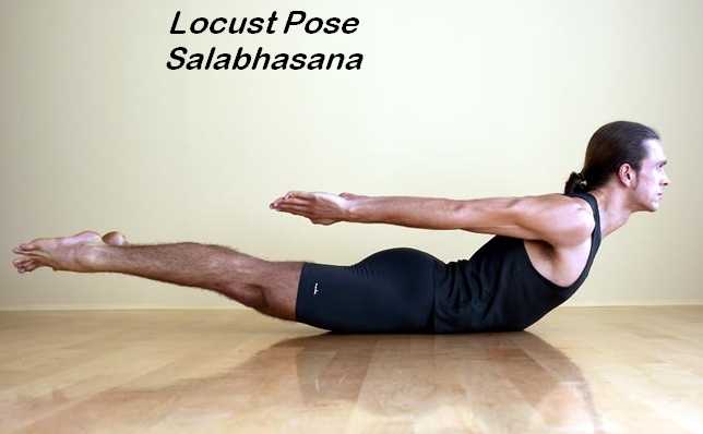 Learn about Salabhasana (Locust Pose) & their Benefits Find Health Tips