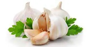 Detox Treatment - The Bikini Detox Diet Friendly Foods 7 Garlic
