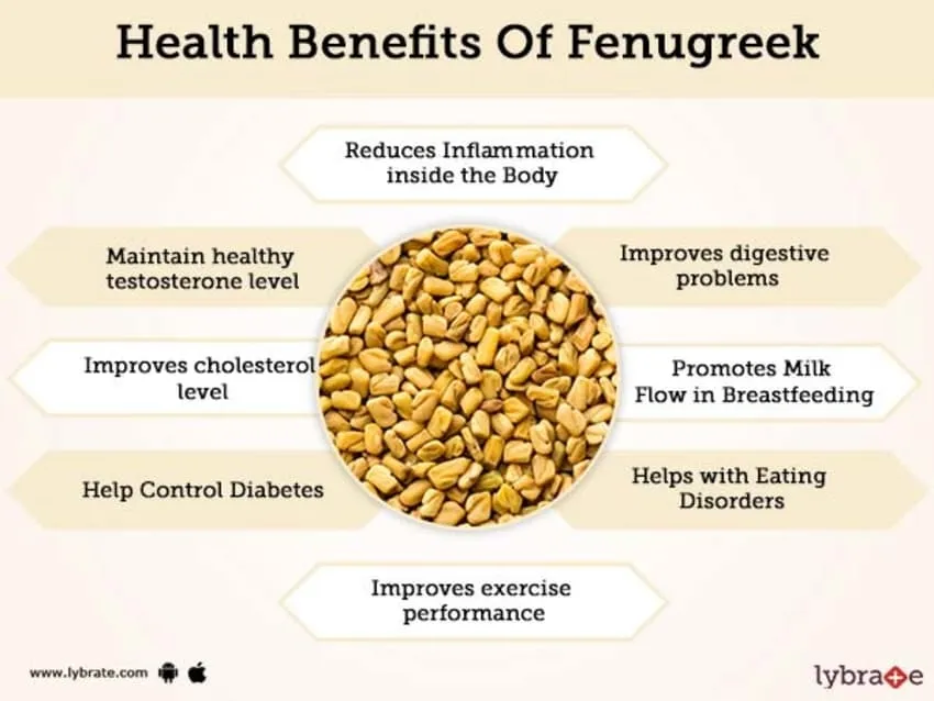 How to Use Methi Leaves (Fenugreek) for Skin, Hair & Health? 1 How to Use Methi Leaves (Fenugreek) for Skin, Hair & Health? 1