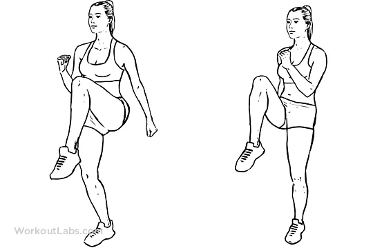 High Knees / Front Knee Lifts | Illustrated Exercise guide ... High Knees / Front Knee Lifts | Illustrated Exercise guide ...
