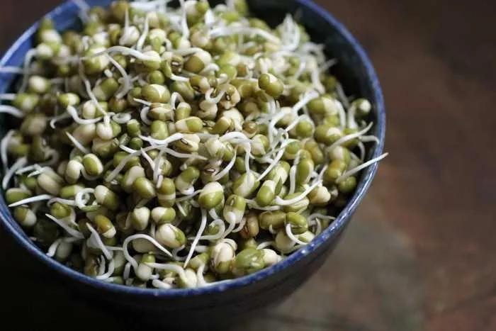 Snacks list Tasty and Healthy at the same time 5 Mung bean sprouts
