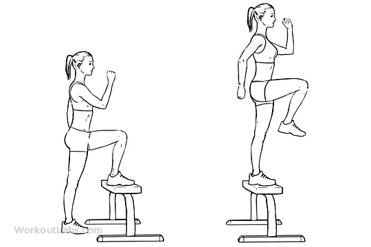 Step up Exercise Step up Exercise