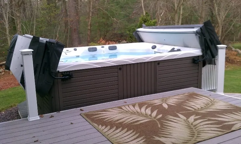 Top 10 Swim Spas Reviews in 2019 8 Michael Phelps Swim Spa