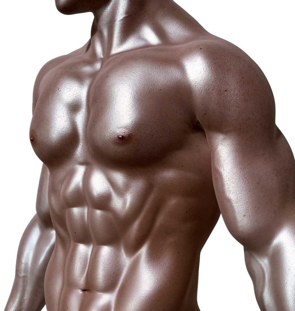 Muscle Toned Body