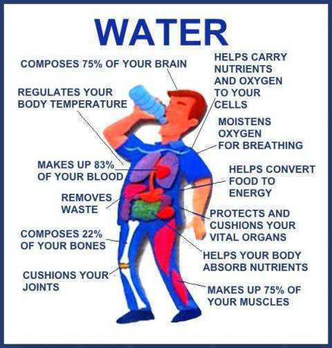 Drink Lots of Water for Healthy Living and This is Scientifically Proven Method