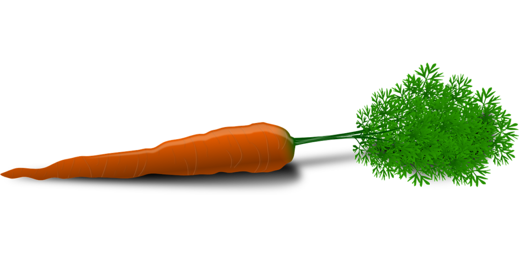 Carrots for Healthy Hair