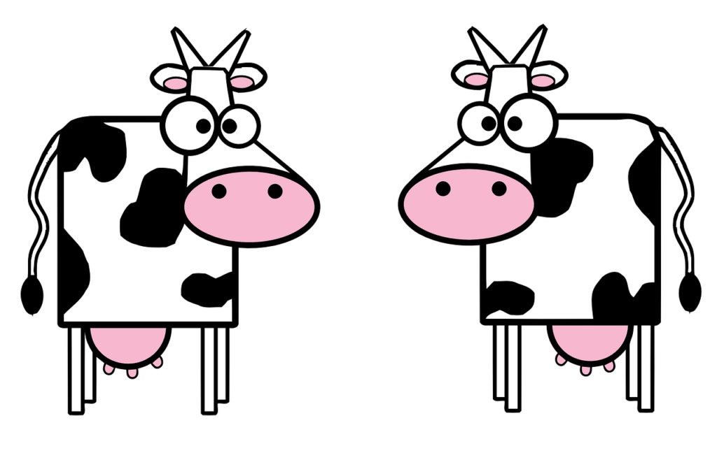 Cow Dairy Products