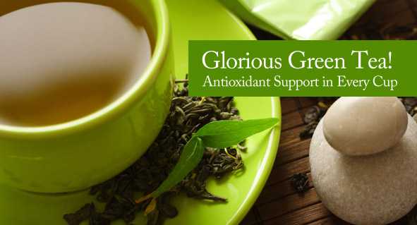 How is Green Tea A Good Source of Antioxidants