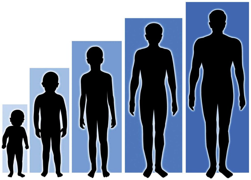 Grow Tall