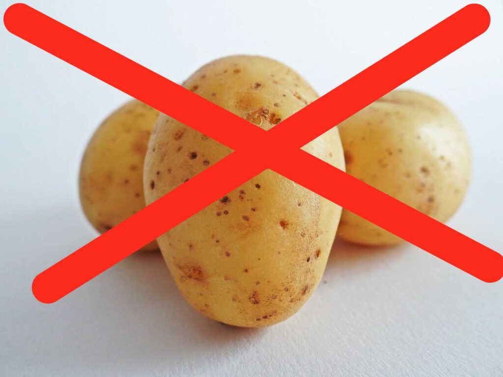 Low Carb Diet Pros and Cons