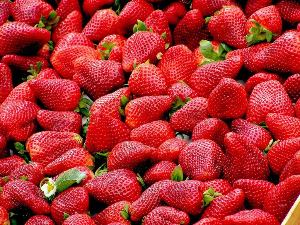 Strawberries for weight loss