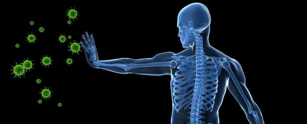 Develop Strong Immune System