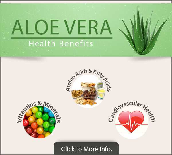 Benefits of Aloe Vera Juice for Hair