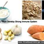 strong immune system with diet