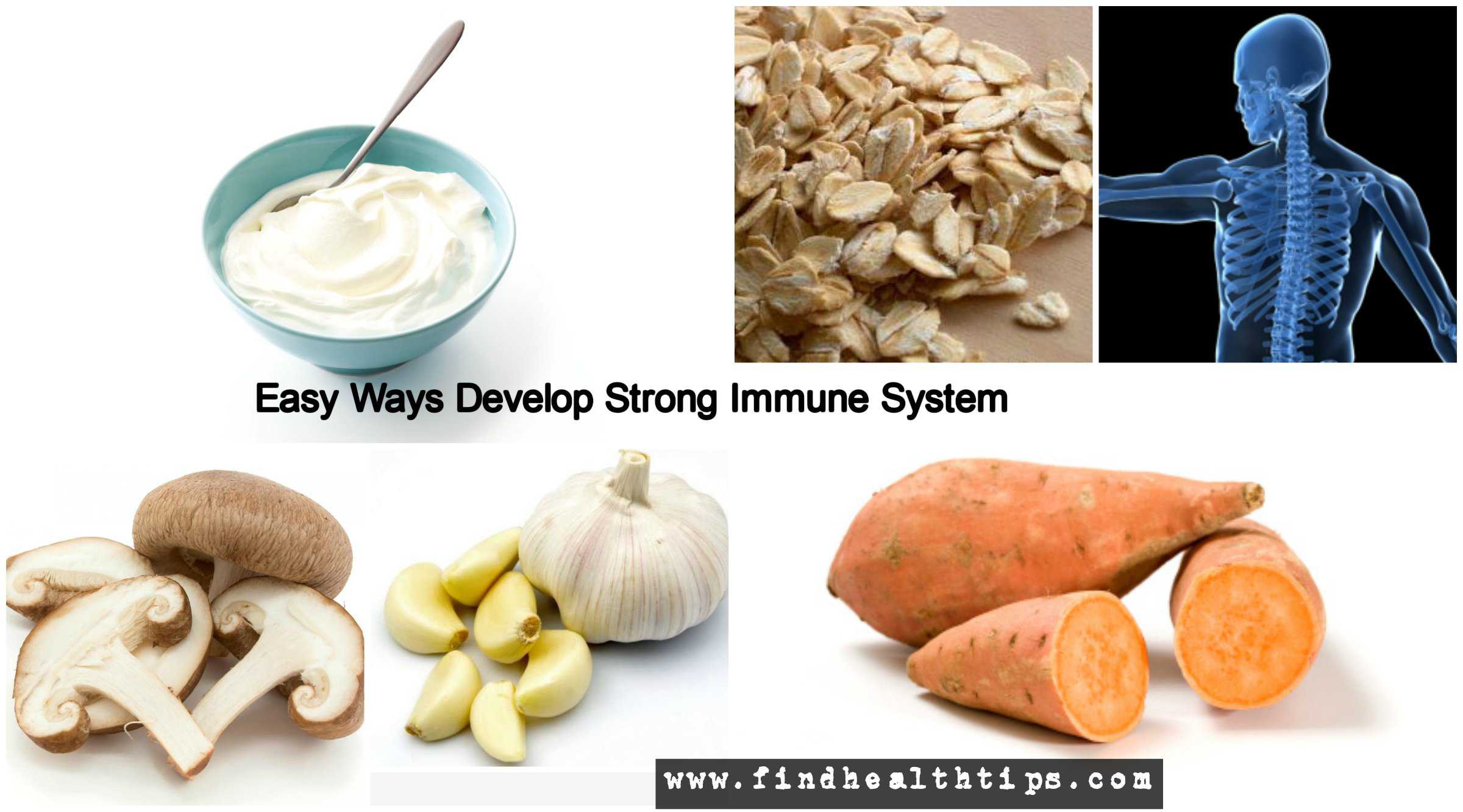 strong immune system with diet