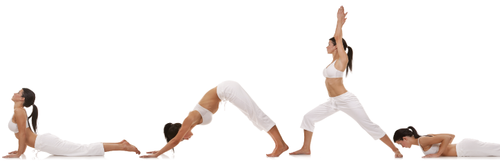 Vinasya Yoga Benefits