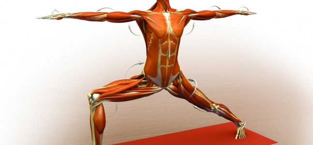 virabhadrasana ii warrior ii pose