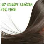 Benifits of Curry Leaves