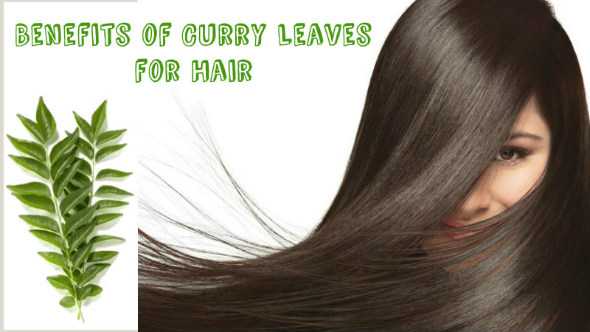 Get rid of Hair Problems with Curry Leaves