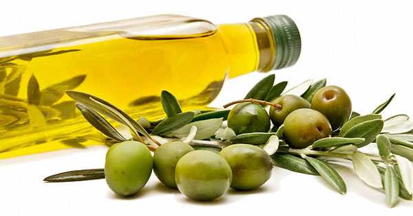Olive Oil