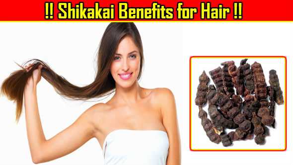 How Shikakai Benefits Hair