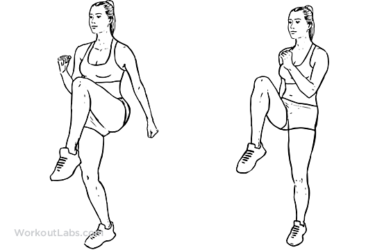 High Knees / Front Knee Lifts | Illustrated Exercise guide ...