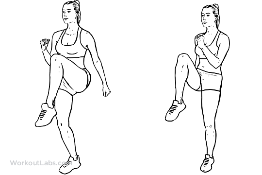 High Knees / Front Knee Lifts | Illustrated Exercise guide ... High Knees / Front Knee Lifts | Illustrated Exercise guide ...