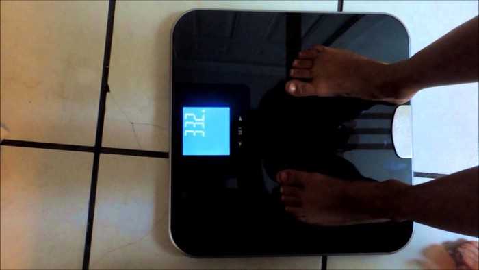 EatSmart GetFit - Digital Body Fat Scale Review 1 EatSmart GetFit