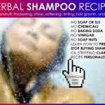 natural hair care shampoo