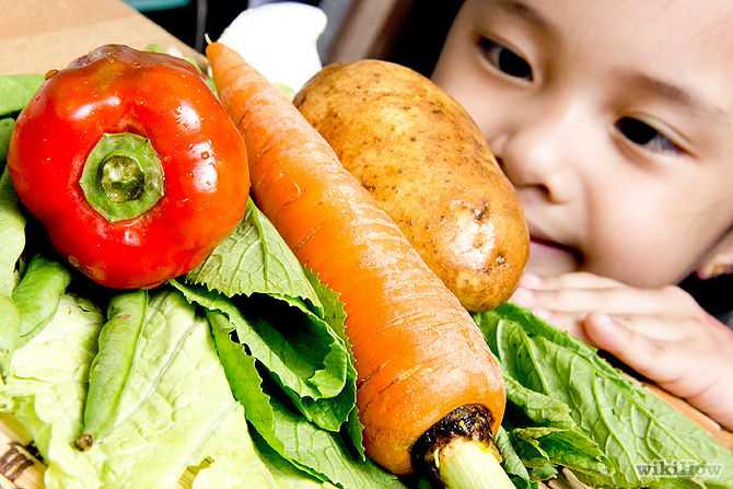Balanced Vegetarian Diet