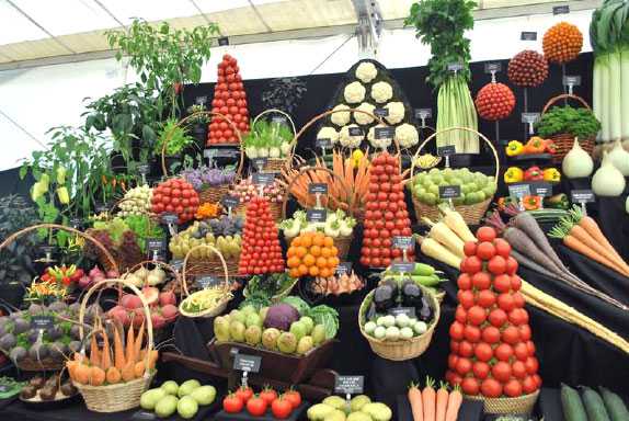 Healthy Eating Principles for a Vegetarian Diet 2 Health Benefits of Vegeaerian Diet