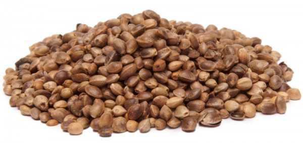 High Protein Vegetarian Foods 4 Hemp seeds