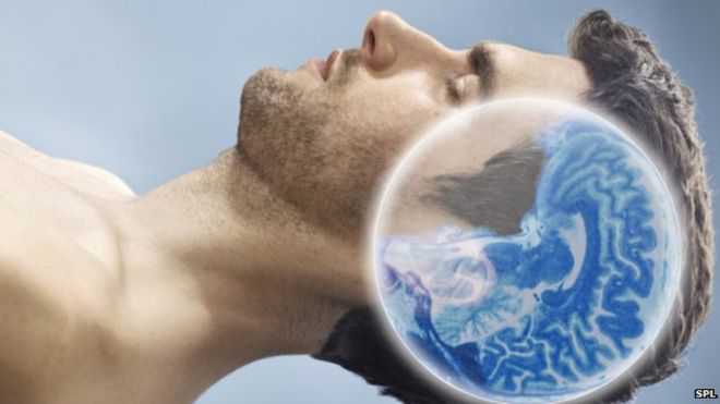 Early sleeping habits better for your health 4 Improve Memory