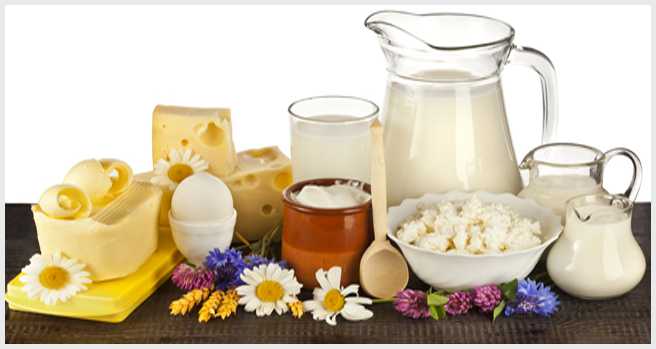 Vegan grocery list: Top 50 staples for a meat-free diet 2 Milk and Milk Products
