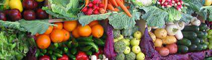 5 Reasons Why Vegan Diet May be a Bad Idea