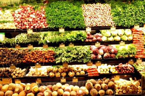 Vegetarian Diet