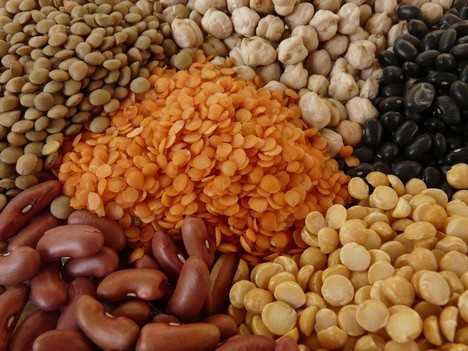 Food Sources of 5 Important Nutrients for Vegetarians 2 Vegetarian Protein Sources