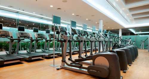 Top 10 Step Machines Reviews
