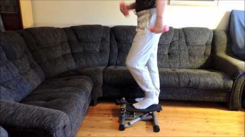 Sunny Health & Fitness Twister Stepper