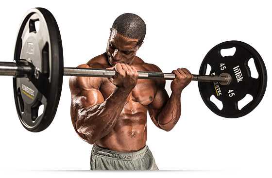 science of building muscles