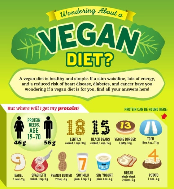vegan diet information