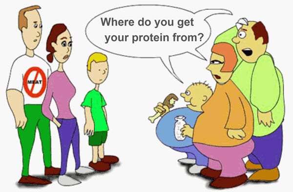 vegetarian diet