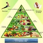 vegan meal plan