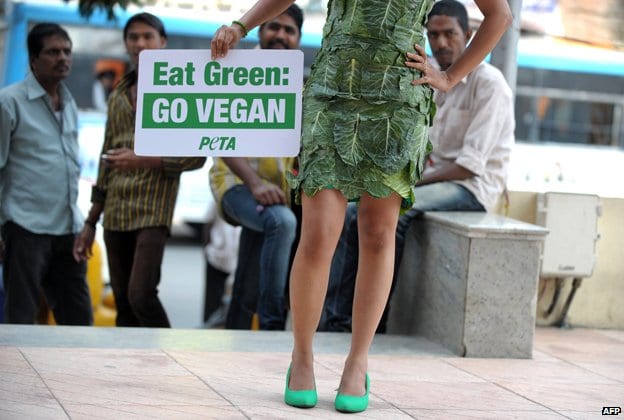 vegetarian diet