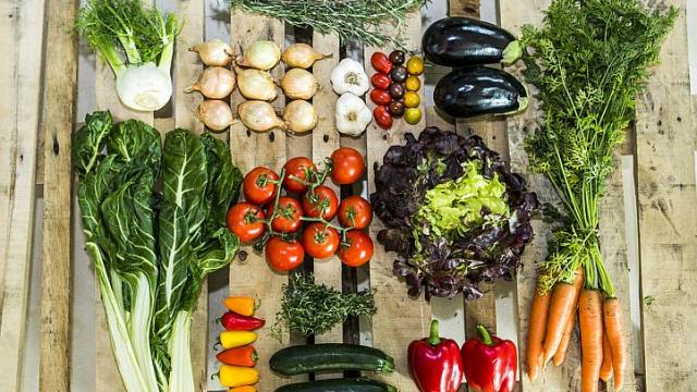 vegetarian diet meal plan