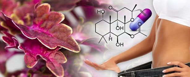 Best Weight Loss Capsules Review