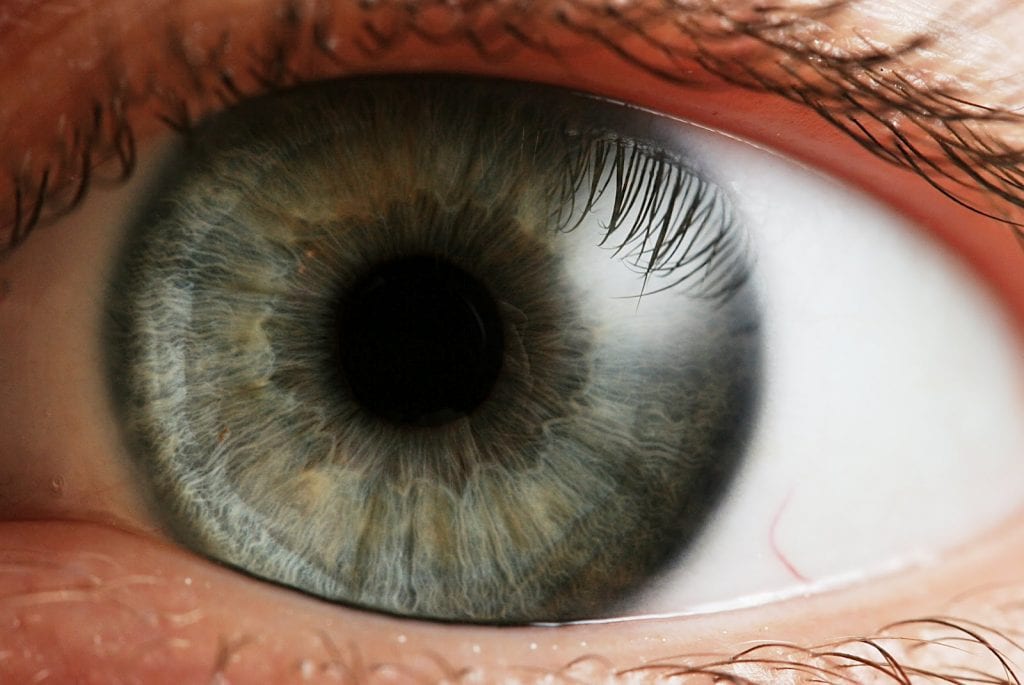 Eye Diabetes