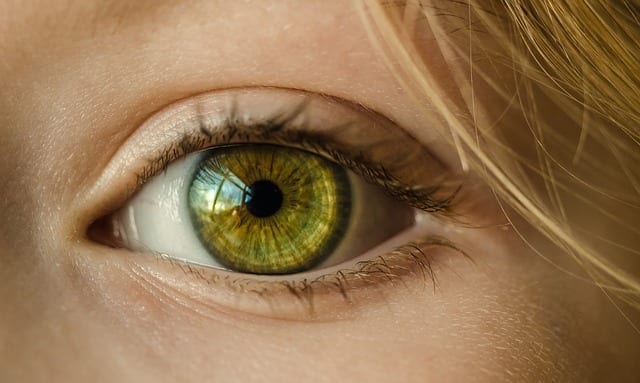 Five Signs That You Need an Eye Check Up