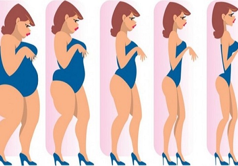 lose weight
