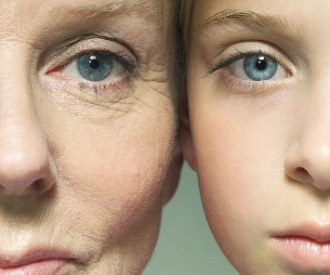 skin aging process